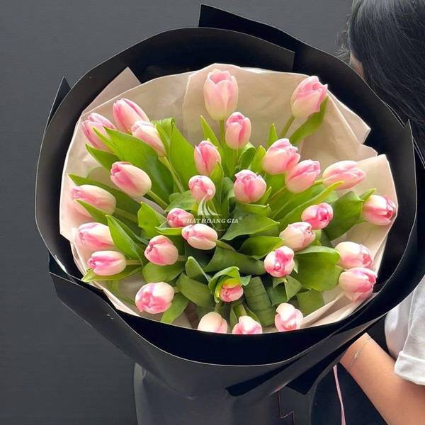 Bó Tulip Hồng Thanh Xuân