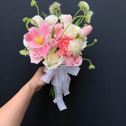 Lan Hồ Điệp Tím Quý Phái